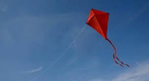 kite 1